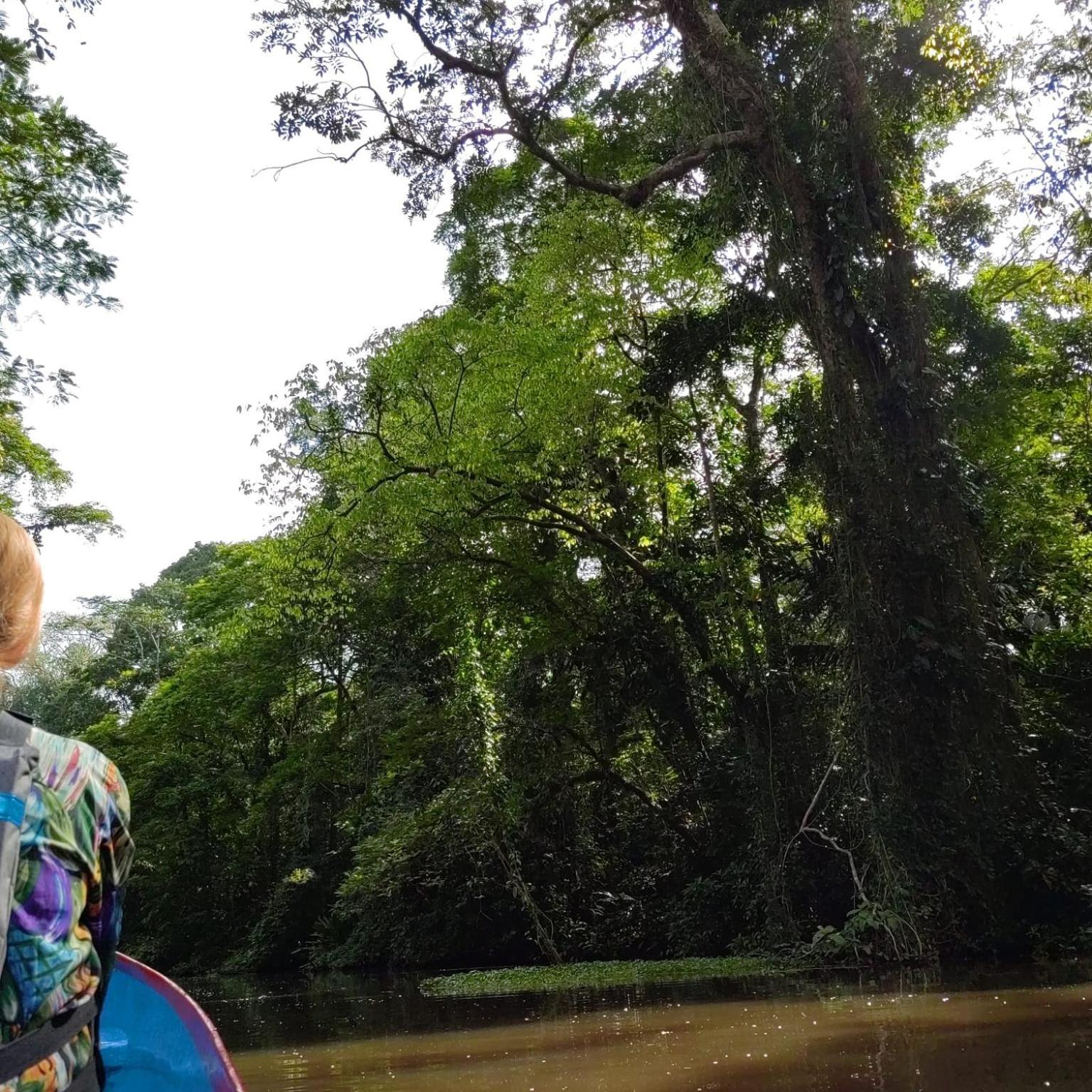Tortuguero Villas ภายนอก รูปภาพ