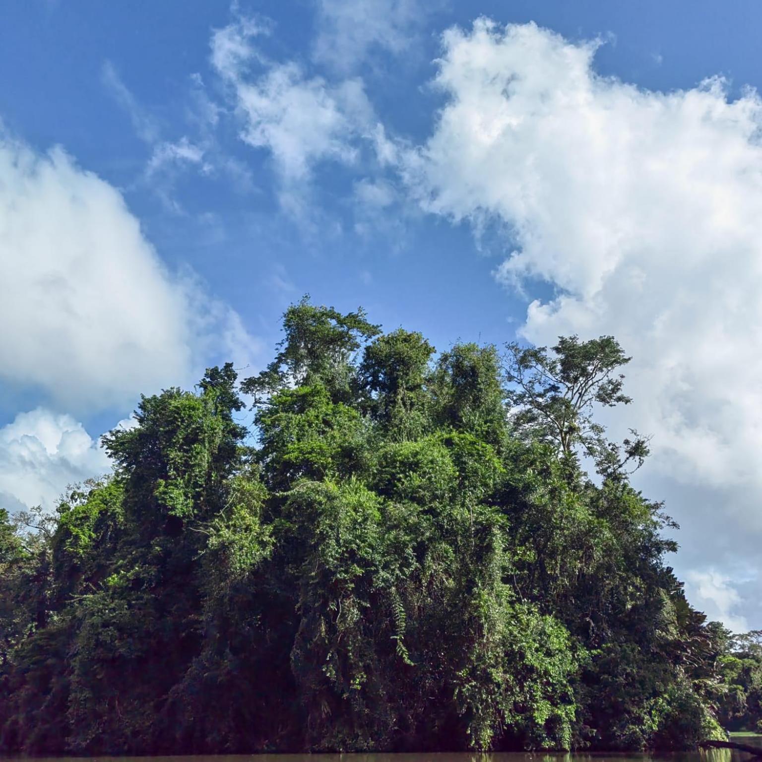 Tortuguero Villas ภายนอก รูปภาพ