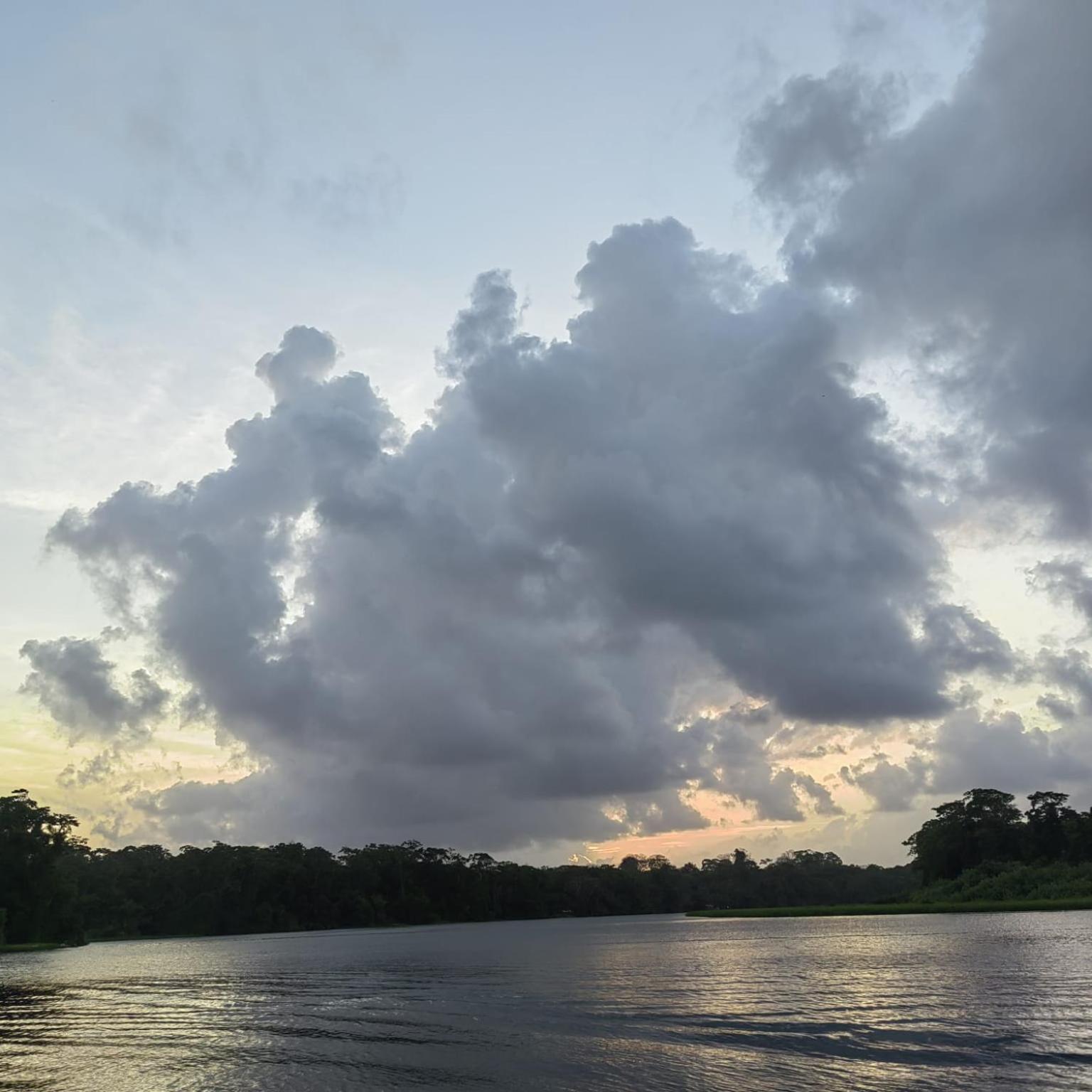Tortuguero Villas ภายนอก รูปภาพ