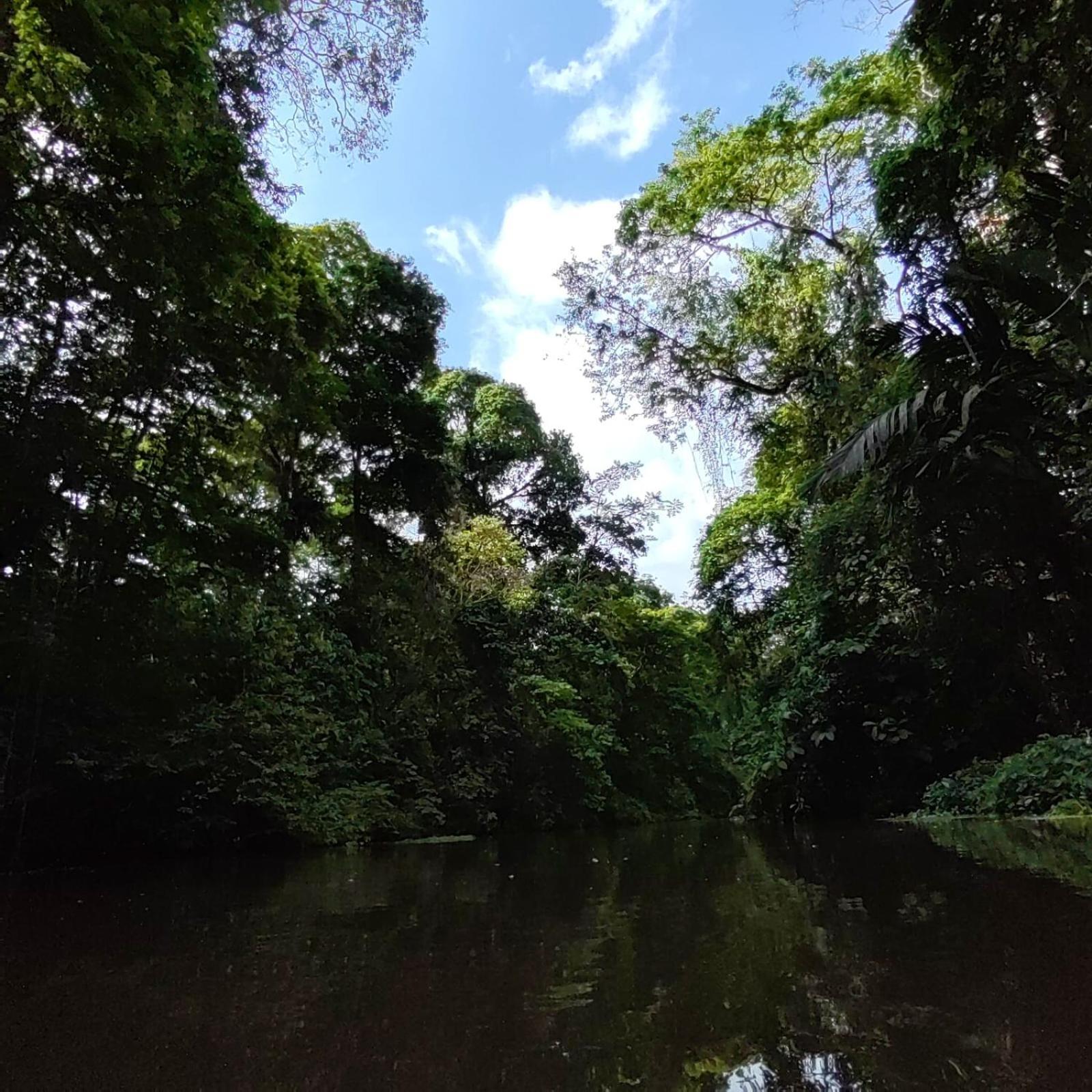 Tortuguero Villas ภายนอก รูปภาพ